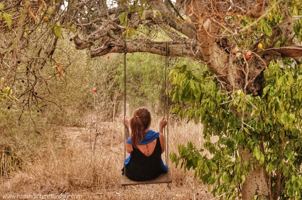 Girl on a swing