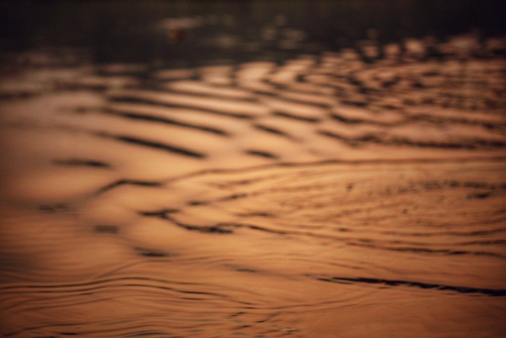 Periyar river